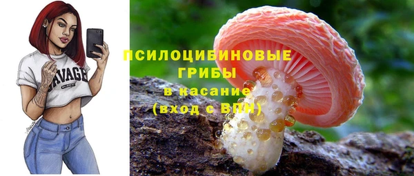 не бодяженный Арсеньев