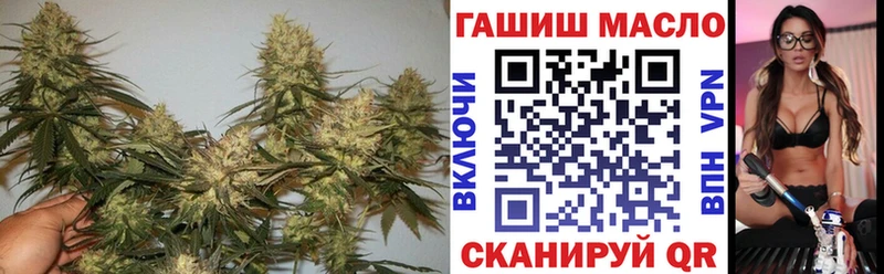 это как зайти  Суджа  ТГК гашишное масло 